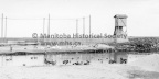 VP-1-04431-005