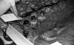 3-5268-005 0