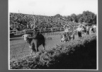3607.128 cattle show at portage fair 1952